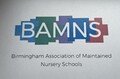 bamns logo.jpg