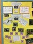 evidence (2).JPG
