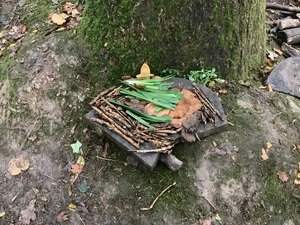 IMG_0101.JPG