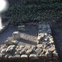 IMG_5623.jpeg