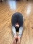 gym 7.jpg