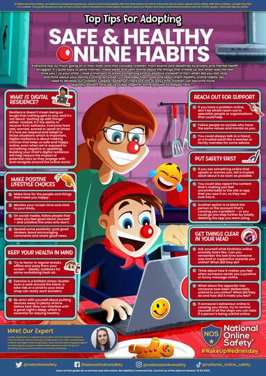 Parents & Carers Guide to - Safe and Healthy Online Habits.jpg
