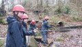 DSCF7954.JPG