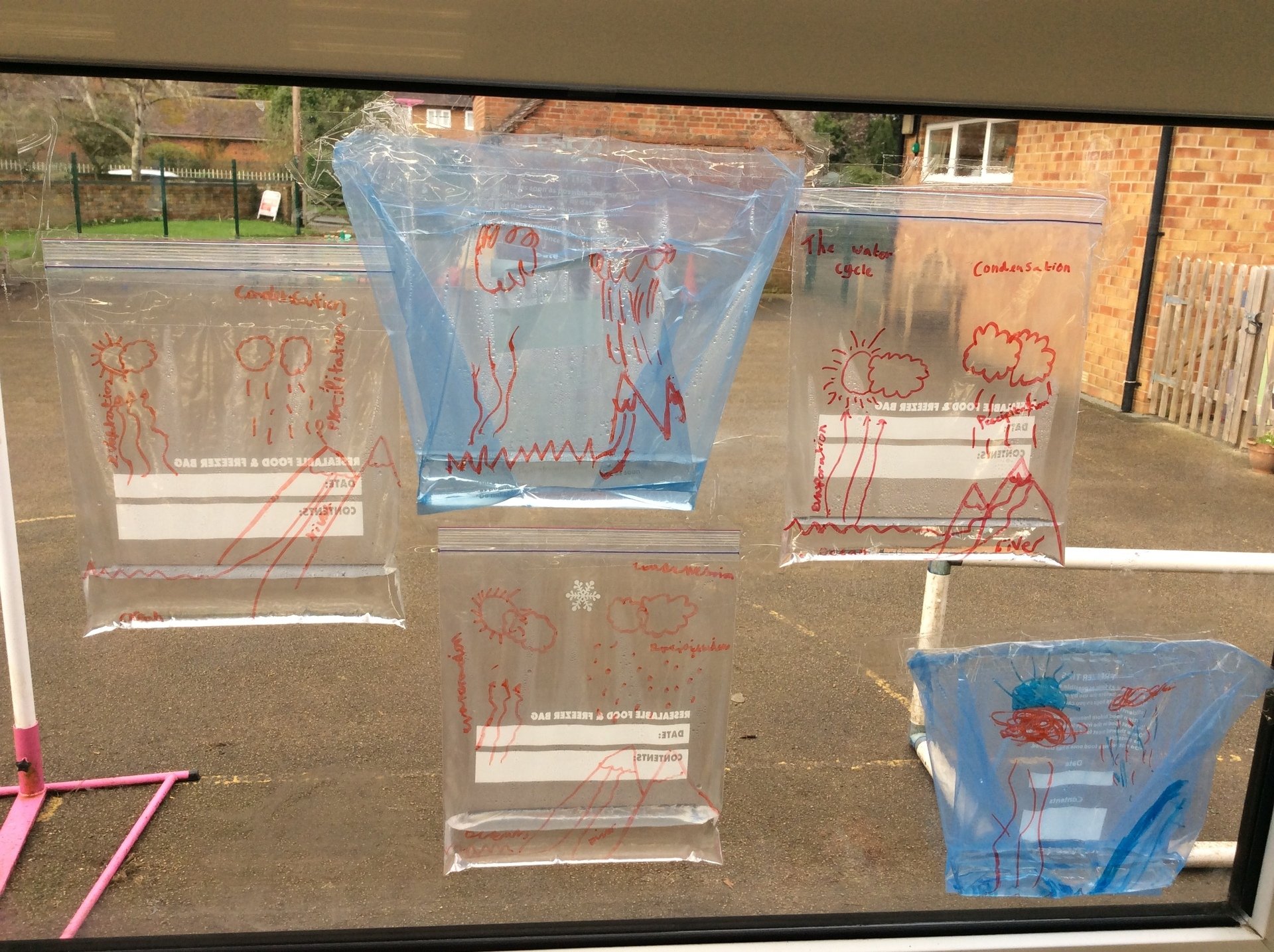 water cycle experiment 
