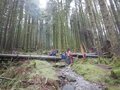 DSCN9230.JPG