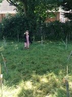 IMG_2701.JPG