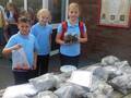 <br>Year 5 Getting ready to sell the potatoes they harvested to raise funds for our 150th Celebration Fund