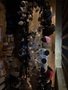 IMG_2937.jpeg