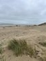 IMG_8335.jpeg