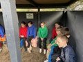 IMG_9369.JPG
