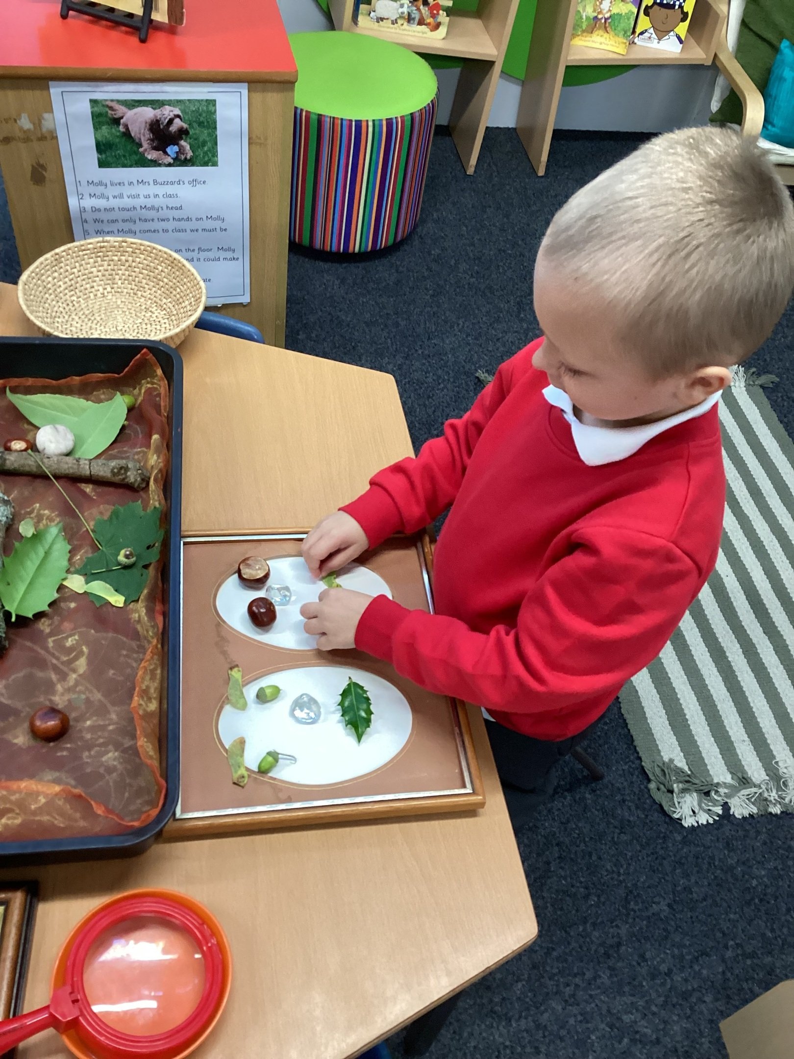 Bridgtown Primary School - EYFS Curriculum