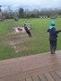 20240320_165008.jpg