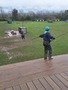 20240320_165333.jpg