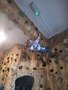 20240321_120036.jpg