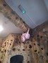 20240321_120228.jpg
