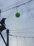 IMG_1054.JPG