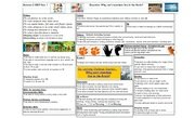 autumn 2 overview.jpg
