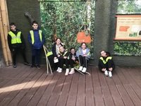 IMG_1155.JPG
