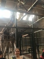 IMG_1165.JPG