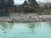 IMG_1176.JPG