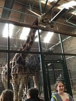 IMG_3089.JPG