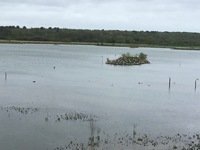 IMG_1713.JPG
