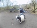 DSCN0983.JPG