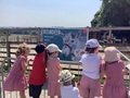 IMG_3941.jpeg