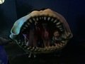 IMG_5055.jpeg