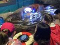 IMG_4989.jpeg
