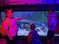 IMG_5022.jpeg