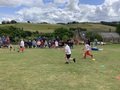 IMG_5241.jpeg