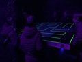 IMG_2255.jpeg