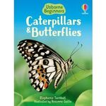 Butterfly book.jpg