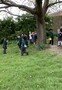 Worm hunt - Whole class looking for worms.jpeg