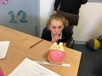 IMG_8429.JPG