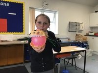 IMG_8463.JPG