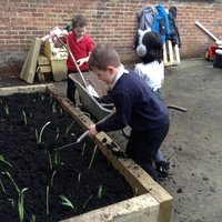 IMG_4285.JPG