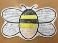 Year 1 bee fact file.JPG