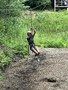 00914150-DA74-4827-A6BA-FAAF40E0416E.jpeg