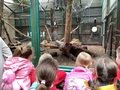 IMG_6256.JPEG