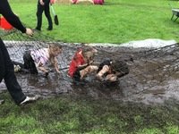IMG_1936.JPG