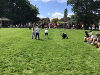 IMG_1682.JPG