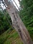 DSCF1511.JPG
