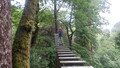 DSCF1238.JPG