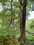 fc962389-0948-4f88-86b4-a44de6c21839.jpeg