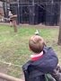 IMG_7773.jpeg