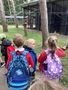 IMG_7776.jpeg