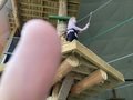IMG_5383.JPG