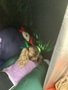 IMG_0583.jpeg